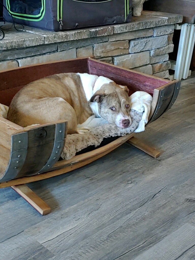 Large barrel pet bed